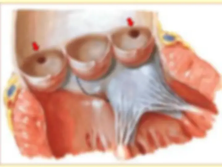 pf43