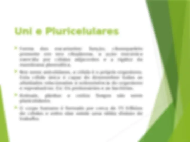 pfe