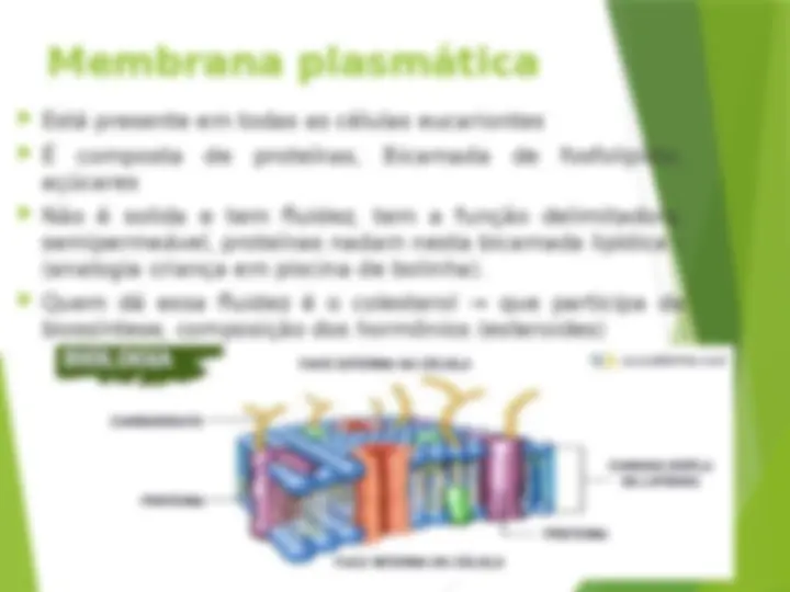 pf12