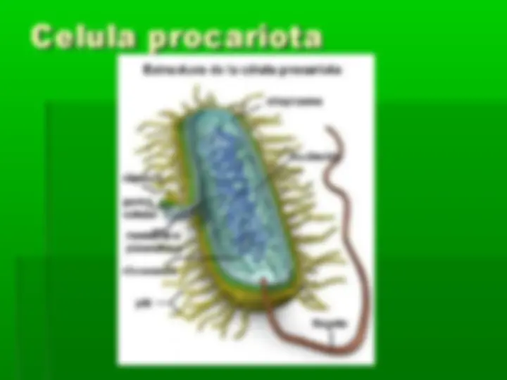 pf5