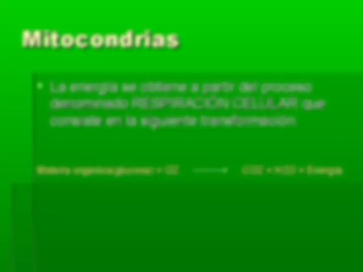 pf1d