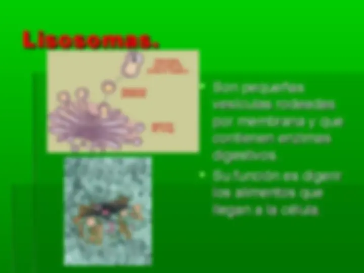 pf1a