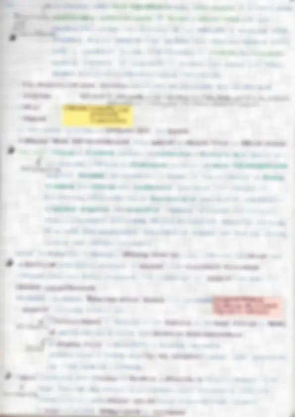 pf26