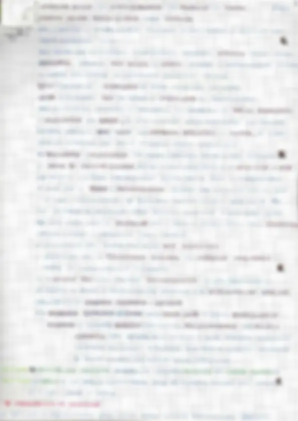 pf19