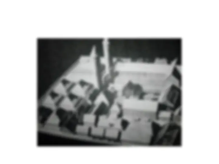 pf19