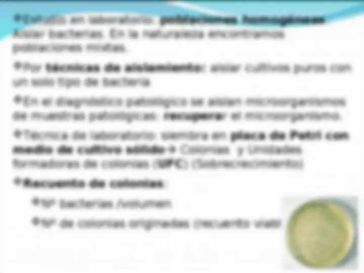 pf13
