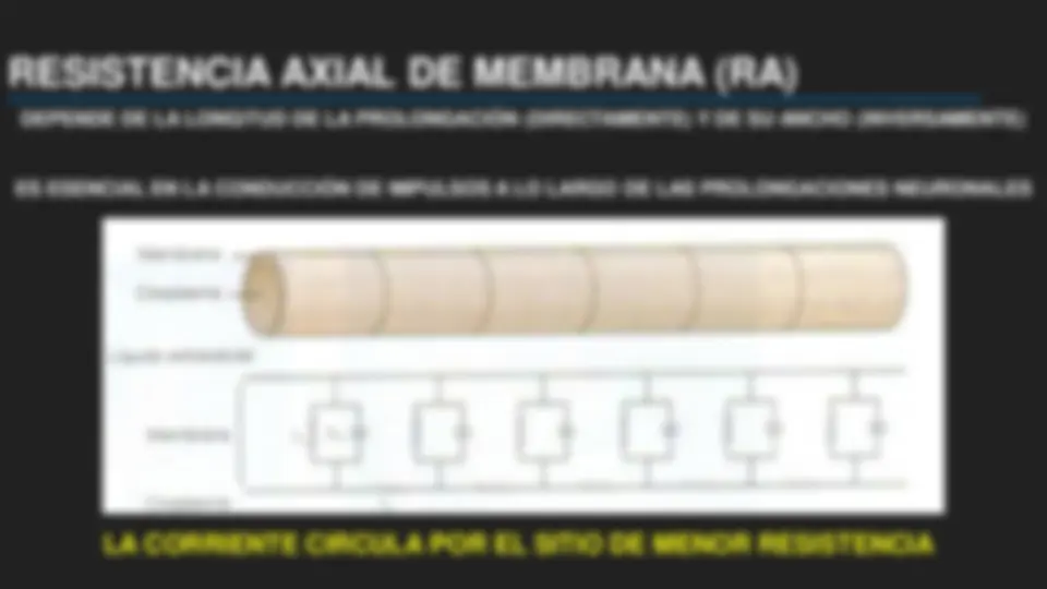 pf2a