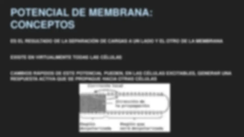 pf3