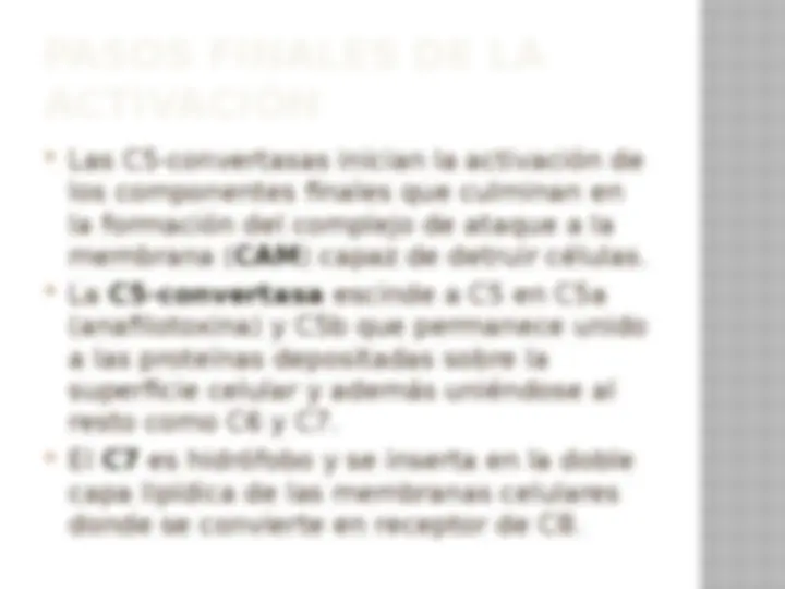pf19