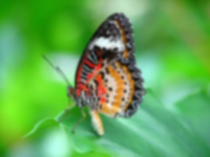 pf13