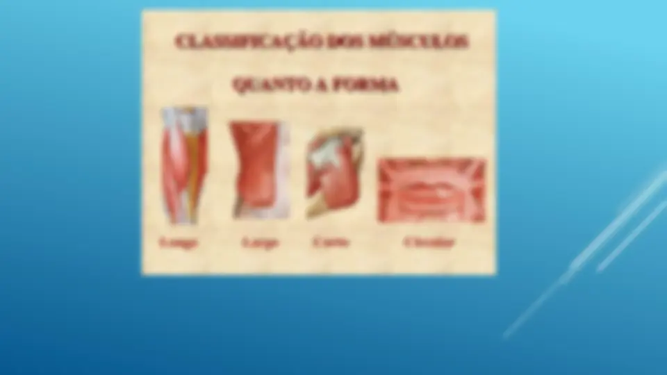 pfa