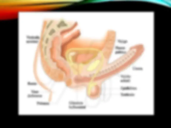 pfa