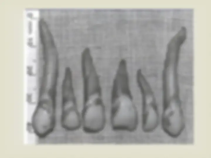 pf3