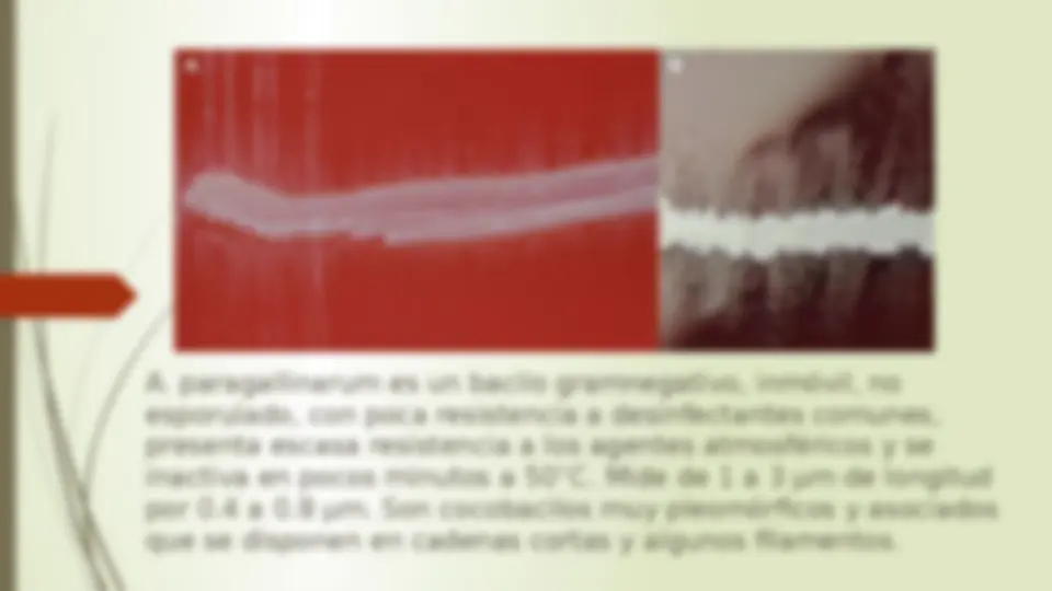 pf5