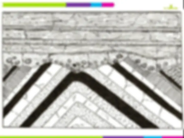 pf8