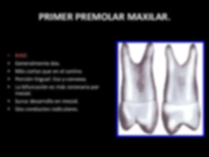 pf2f