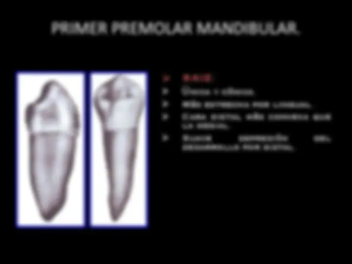 pf3d