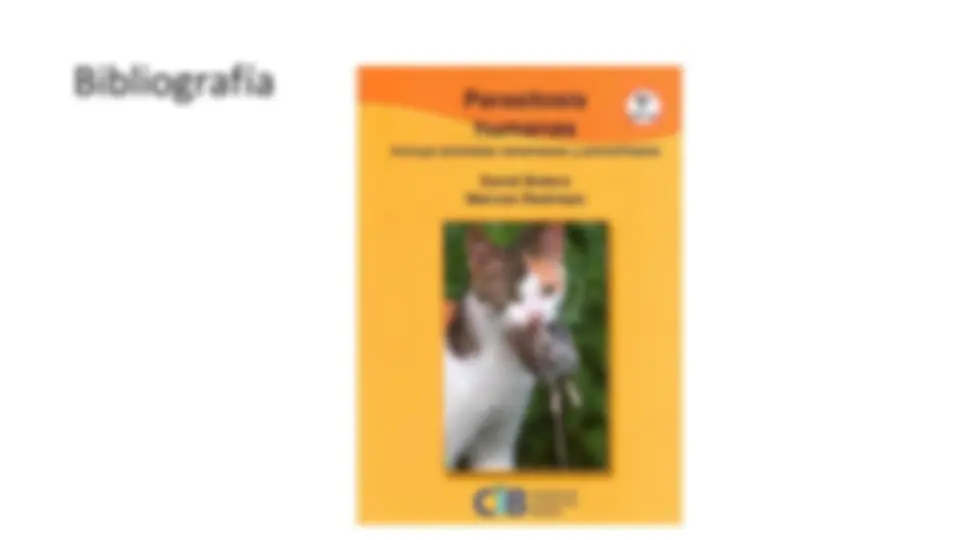 pf3d