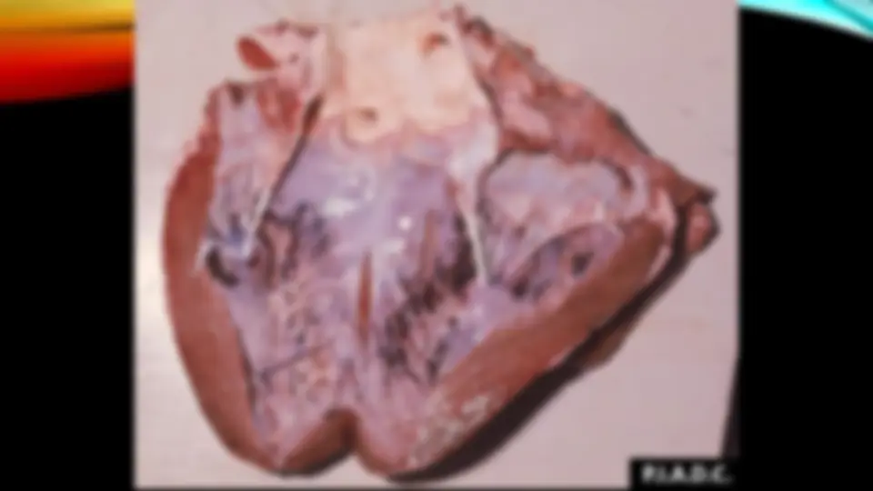 pf1a
