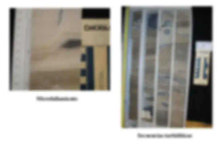 pf23