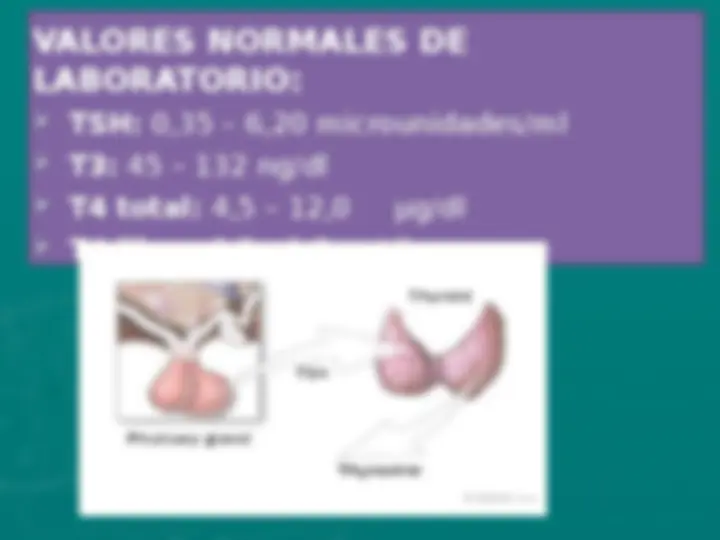 pf3