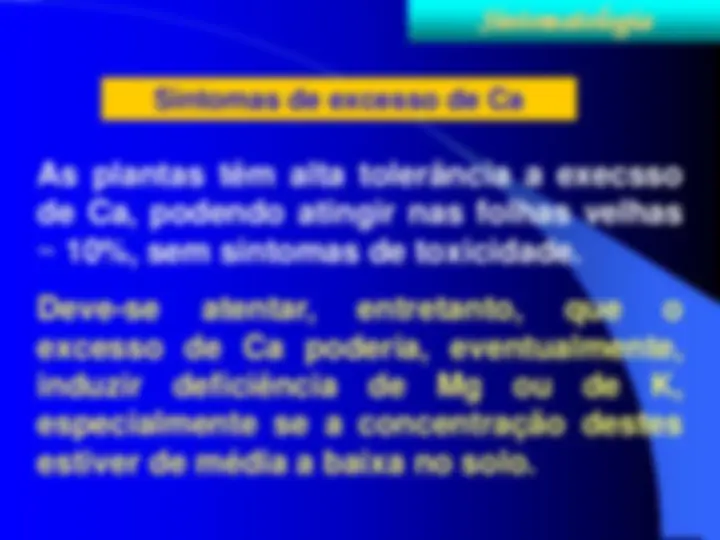 pf23