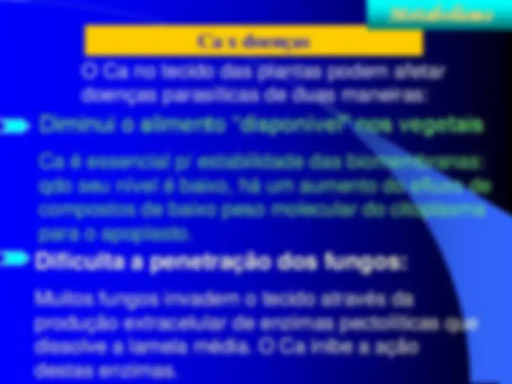 pf1f