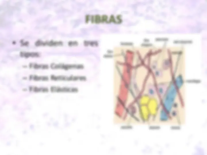 pf8