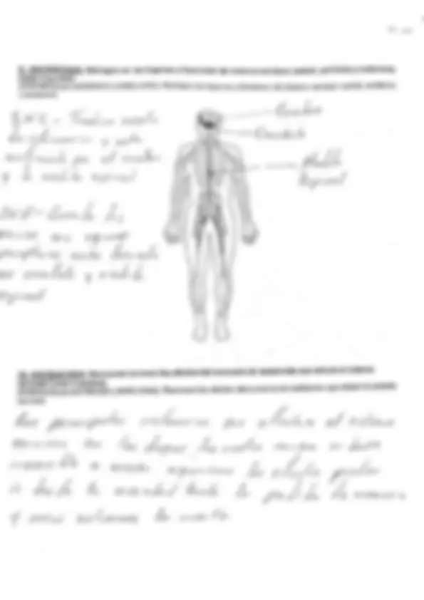pf5