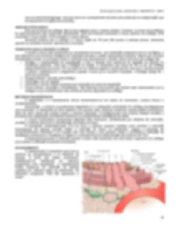 pf3a