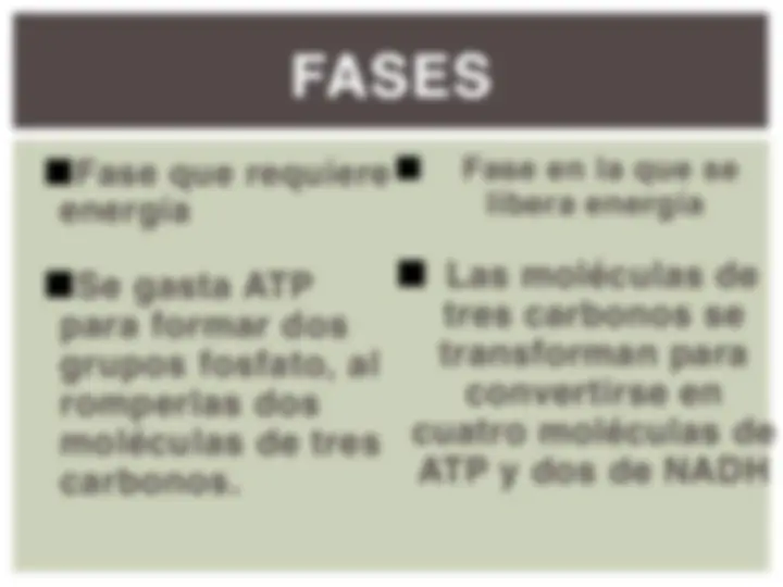 pf4