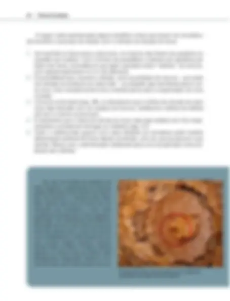pf32