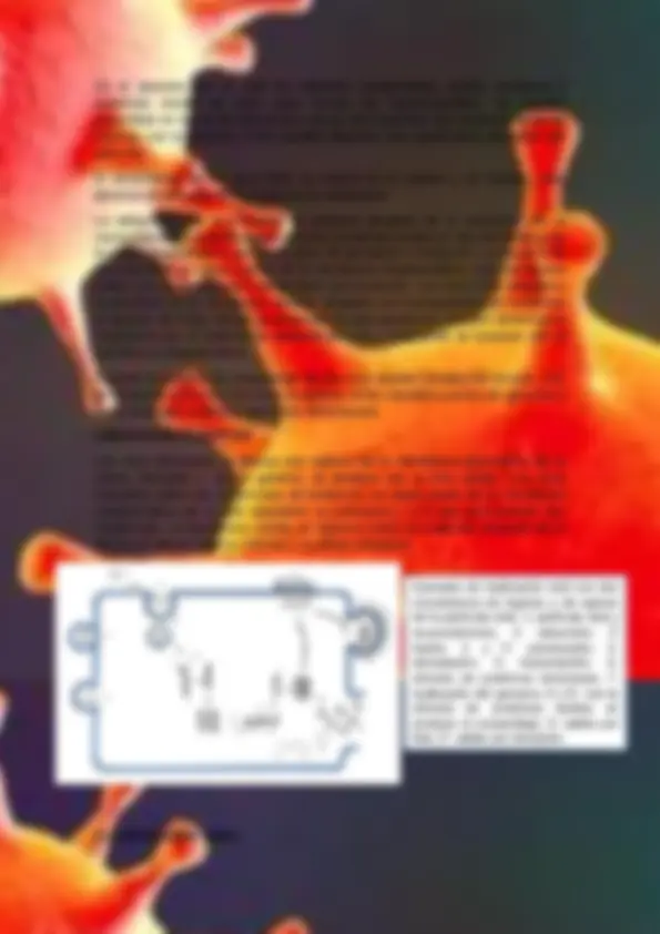 pf5