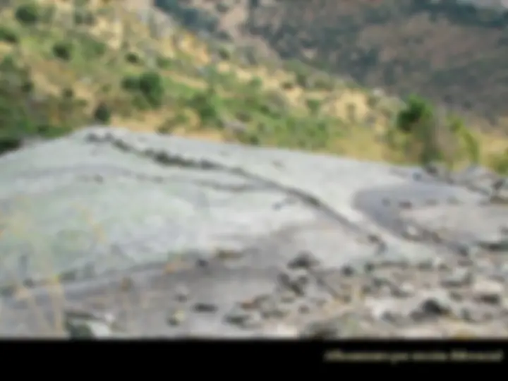 pf24