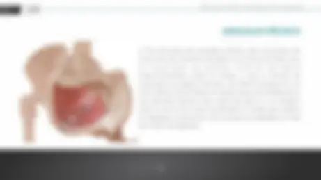 pfe