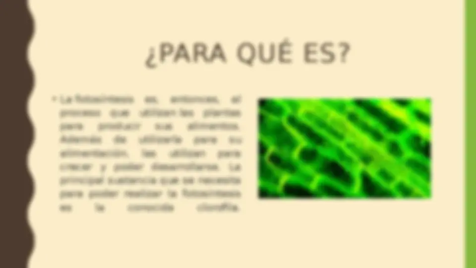 pf4