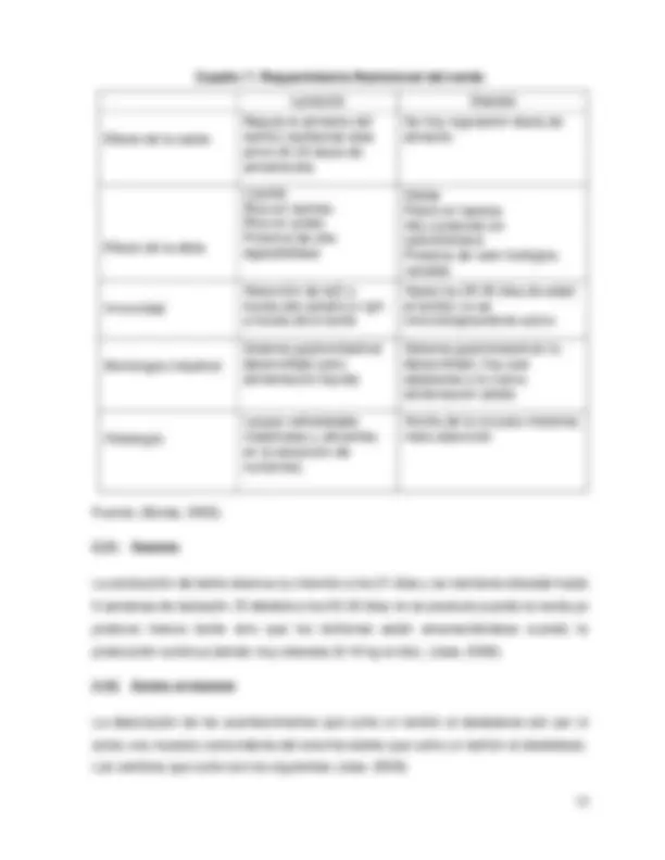 pf19