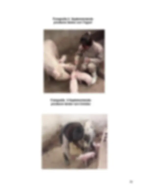 pf2f