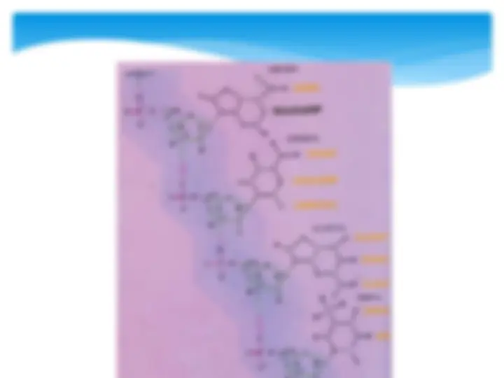 pf34