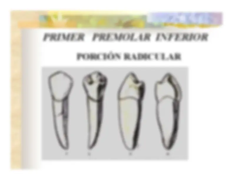 pf13