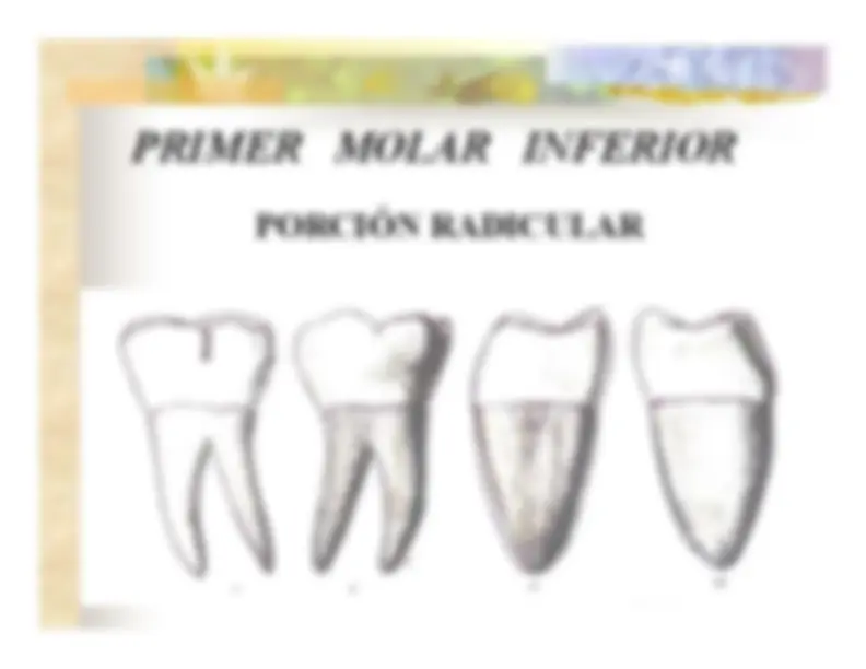 pf23