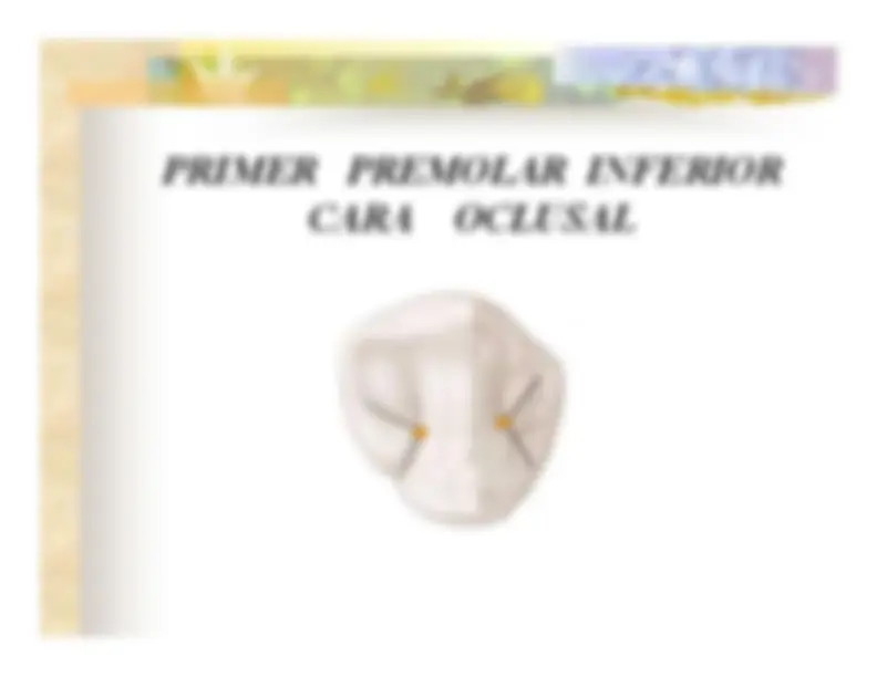 pf12