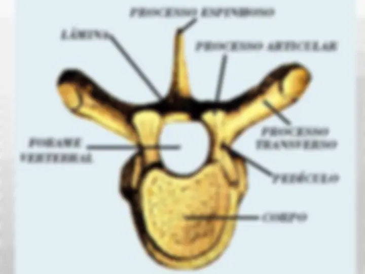 pf22