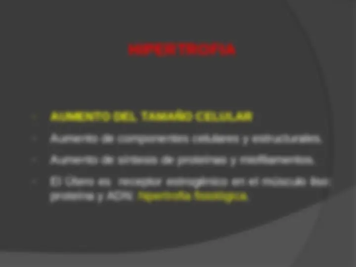 pf13