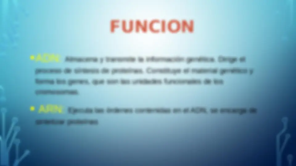 pf5