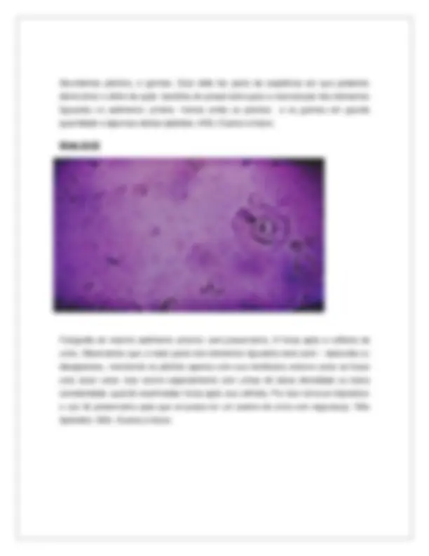 pf1b