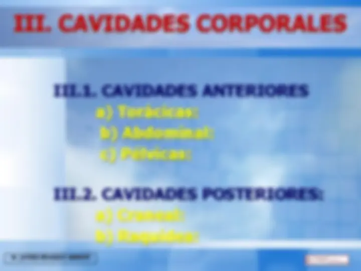 pf19
