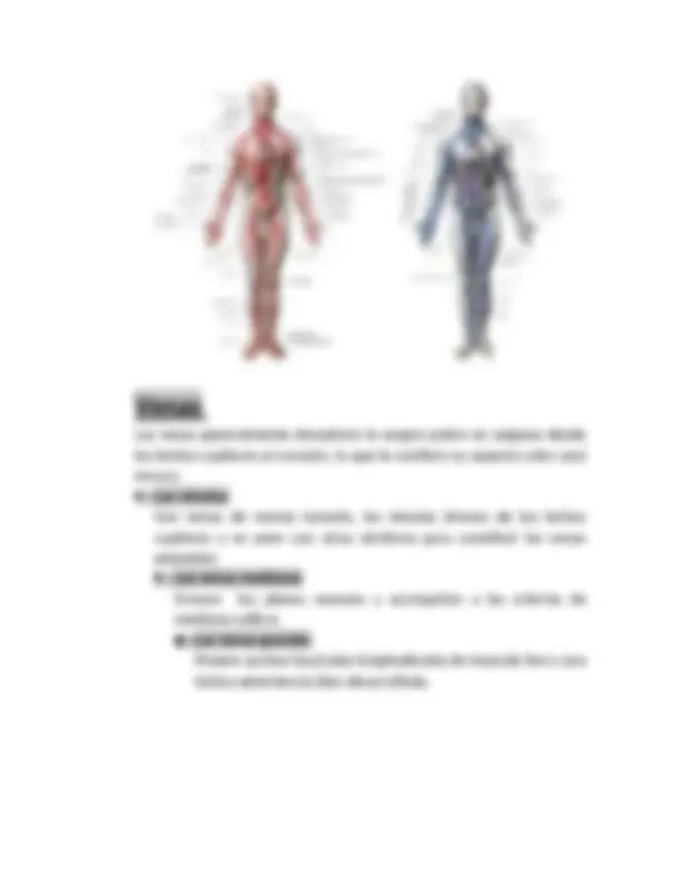 pfa