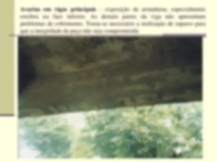 pf29
