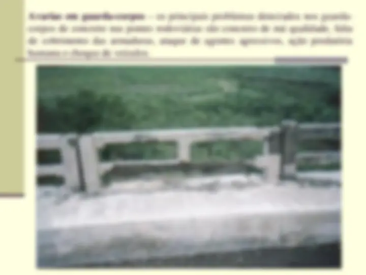 pf31